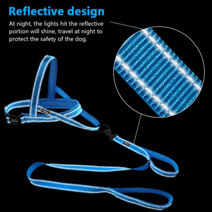 Reflective Dog Leash - My Puppy Fresh