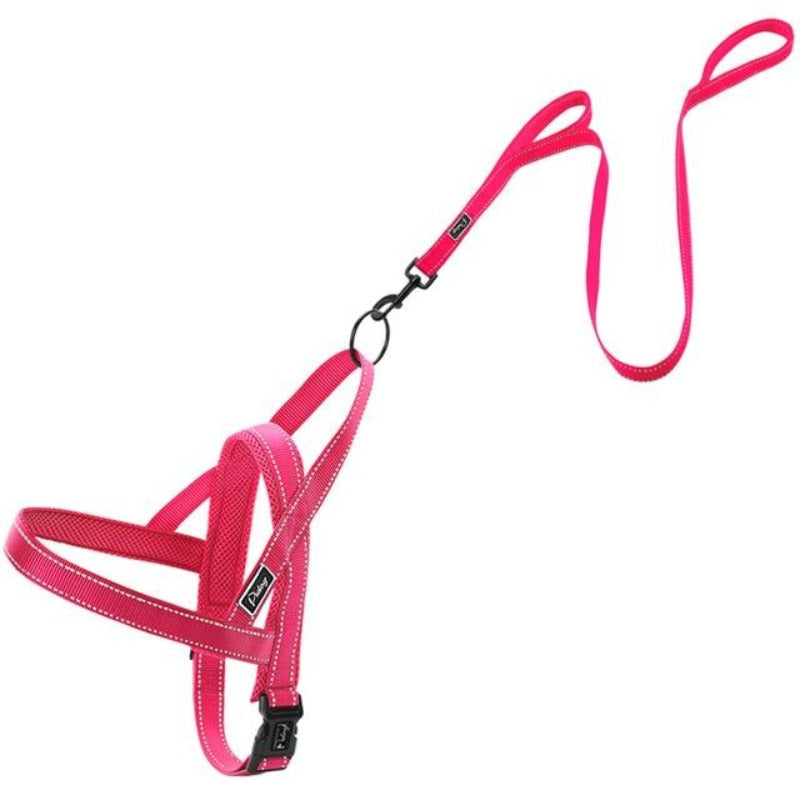 Reflective Dog Leash - My Puppy Fresh