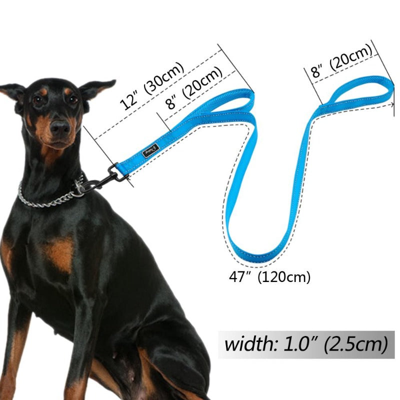 Reflective Dog Leash - My Puppy Fresh