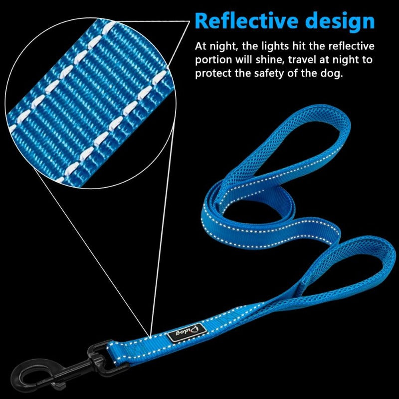 Reflective Dog Leash - My Puppy Fresh