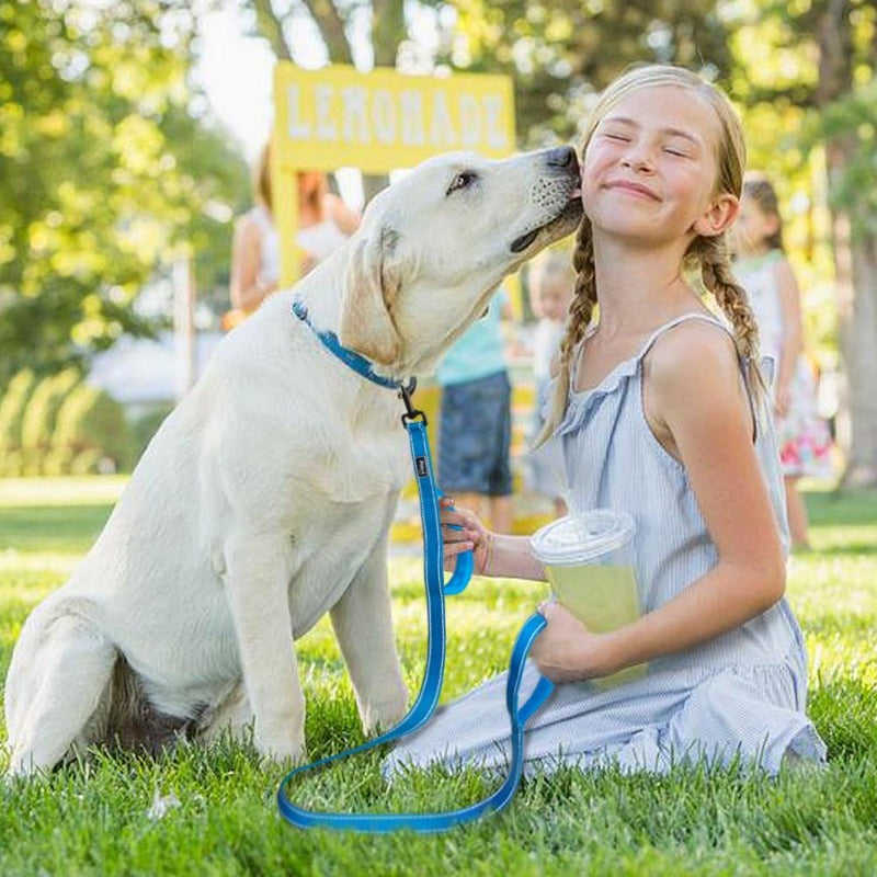 Reflective Dog Leash - My Puppy Fresh